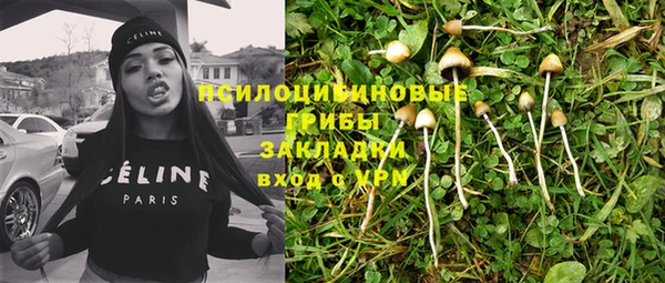 СК Алексин