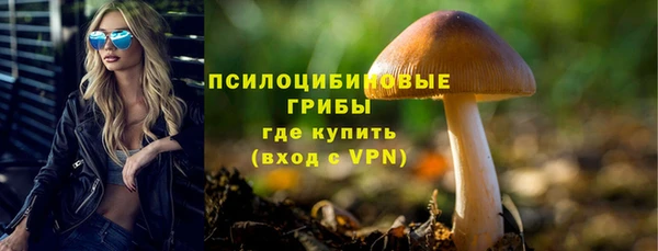 СК Алексин