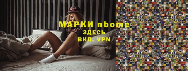 СК Алексин