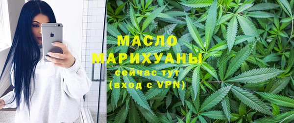 СК Алексин
