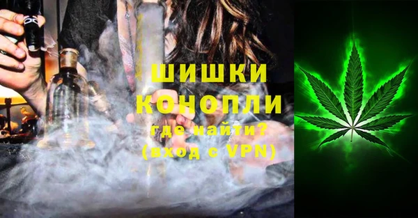гидра Арсеньев