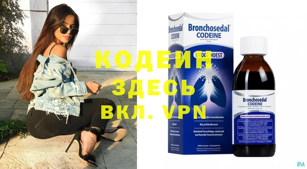 индика Алзамай