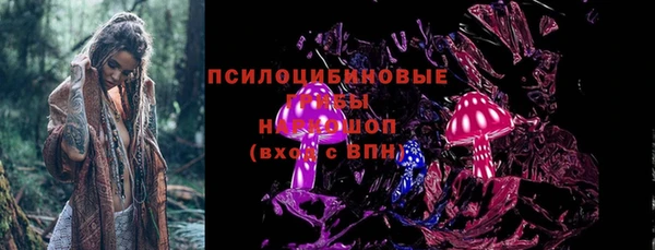 индика Алзамай
