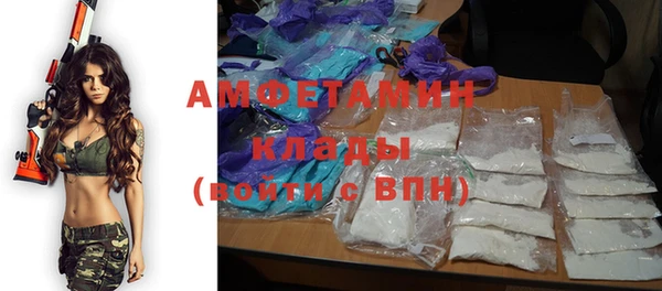 индика Алзамай